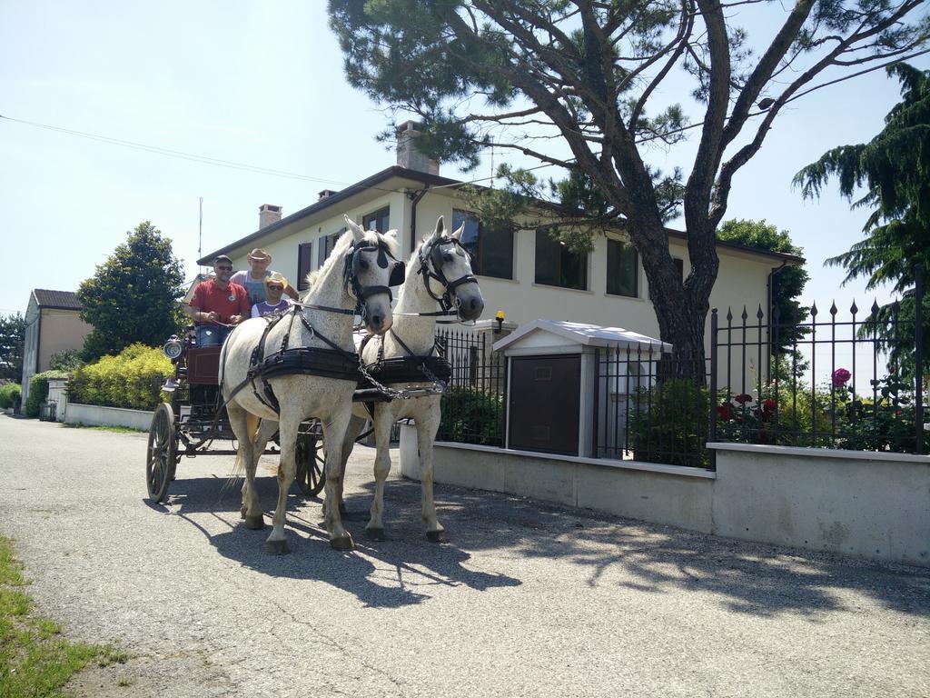 Hotel La Siesta Villafranca di Verona Exteriér fotografie