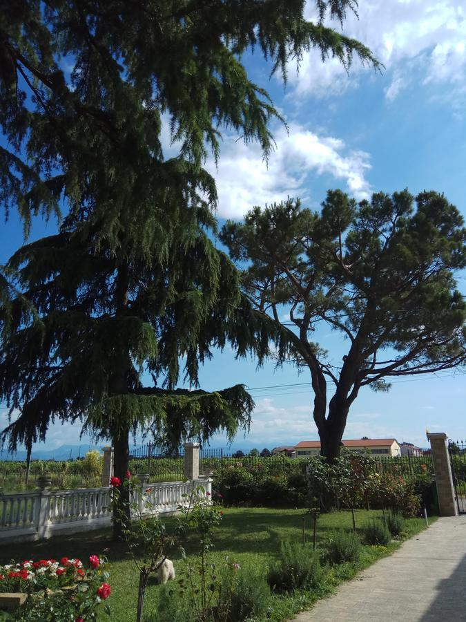 Hotel La Siesta Villafranca di Verona Exteriér fotografie